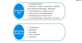 國企改革咨詢服務 助力企業(yè)轉(zhuǎn)型的信息支撐
