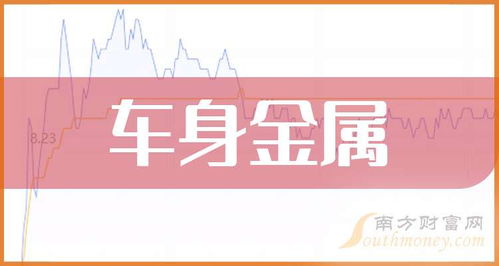 上市車身金屬公司信息咨詢服務展望 2026年1月13日